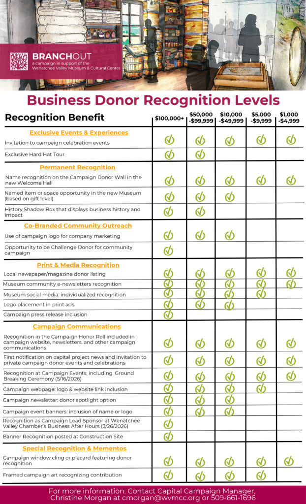 Business-Campaign-Recognition-Levels-